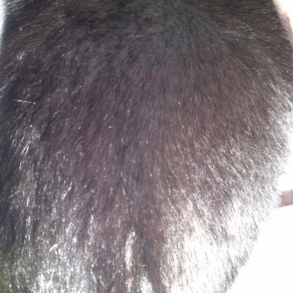 NWOT Fox Fur Collar/Scarf - Picture 3 of 5